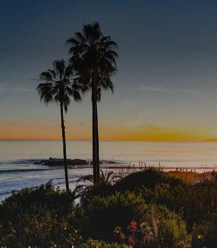 Drug rehab in San Clemente - Palm trees and sunset over San Clemente's beach — a peaceful coastal city supporting recovery and new beginnings through rehab.
