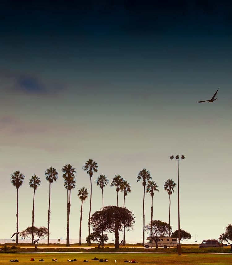 Drug Rehab in Costa Mesa Drug rehab in Costa Mesa- Sunset view of palm trees and open fields in Costa Mesa — a calming environment that supports healing and recovery from drug and alcohol addiction.