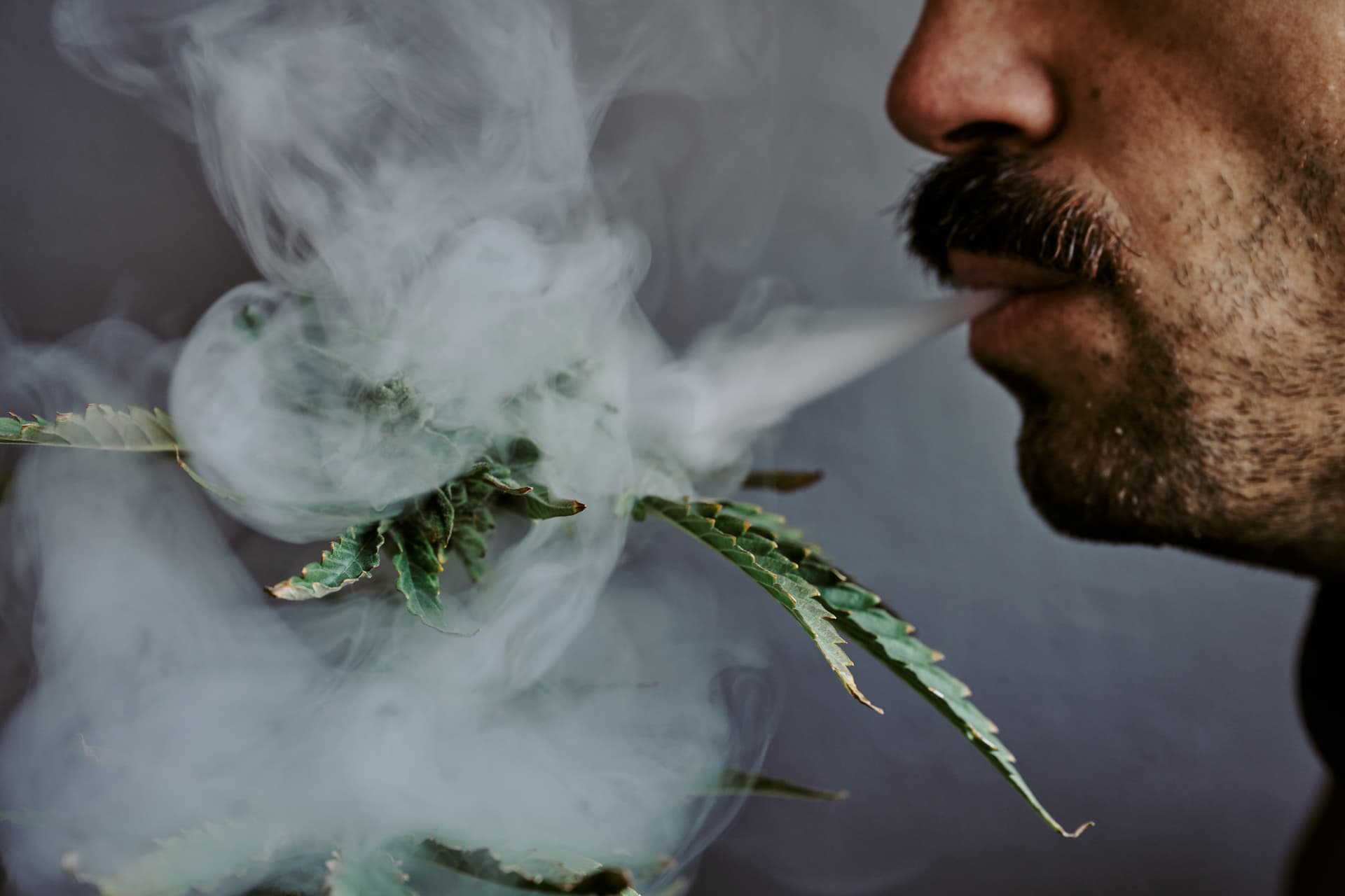 Close-up of a man exhaling smoke surrounded by marijuana leaves, illustrating marijuana use and potential for addiction.