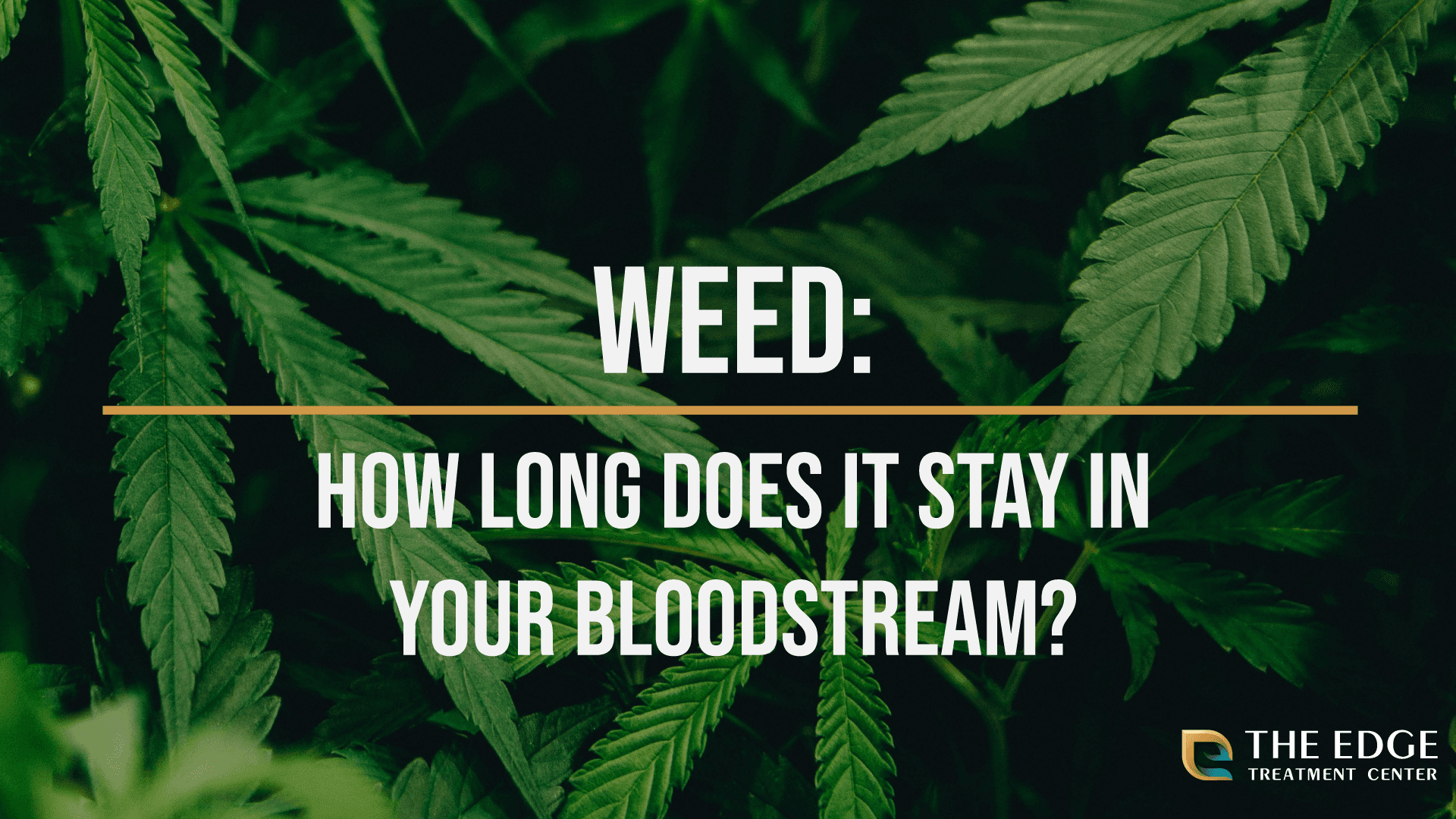How Long Does Weed Stay in Your Bloodstream?