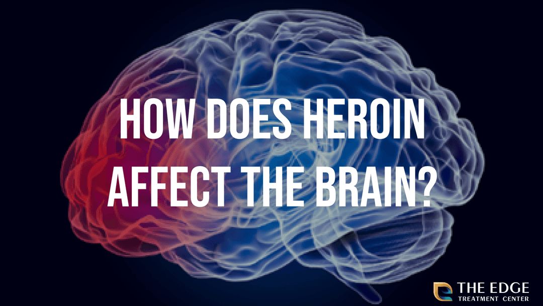 How Does Heroin Affect The Brain?