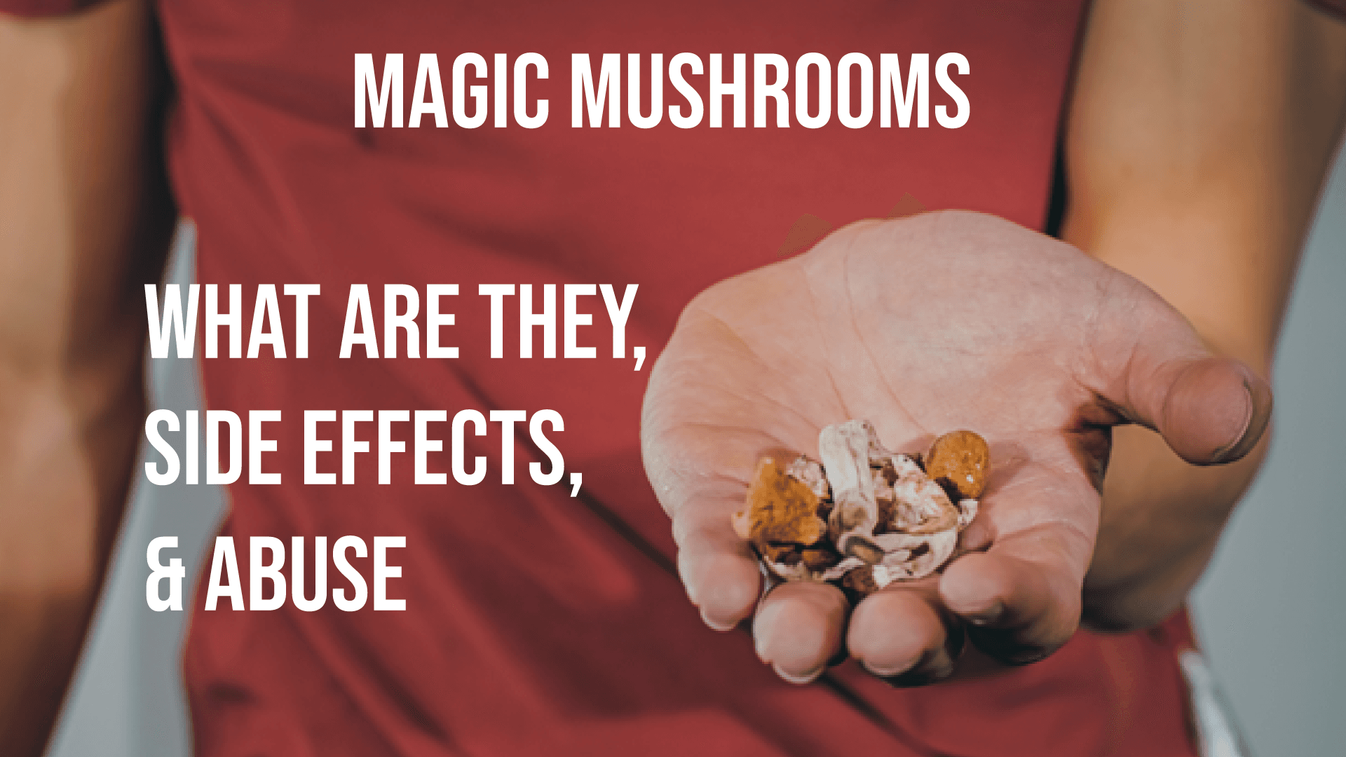 Magic Mushrooms: What are They, Side Effects, & Abuse