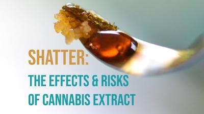 Shatter is a highly potent cannabis extract that's gaining popularity. It may also be more addictive. Learn more about the risks of shatter here.