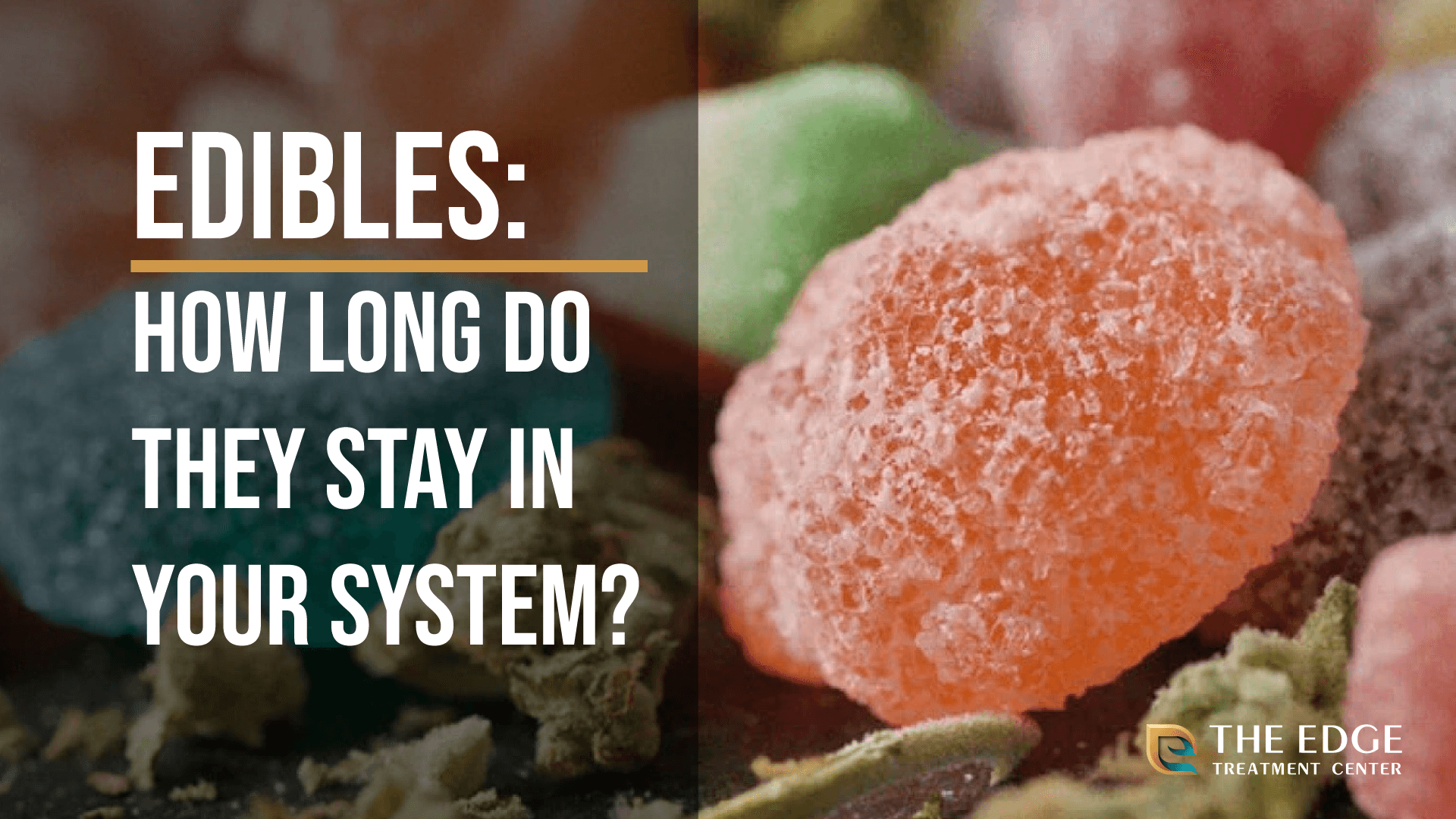 Edibles: How Long Do They Stay in Your System?
