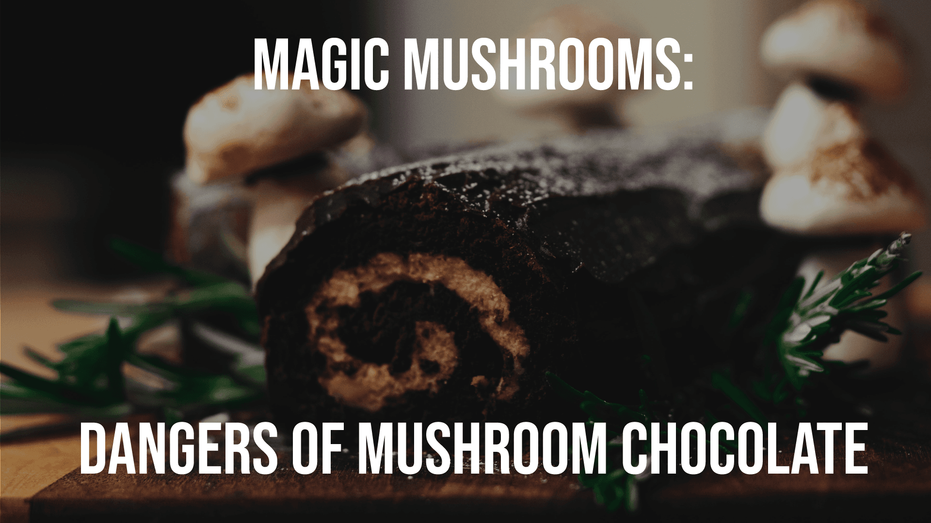 Magic Mushrooms: Dangers of Mushroom Chocolate