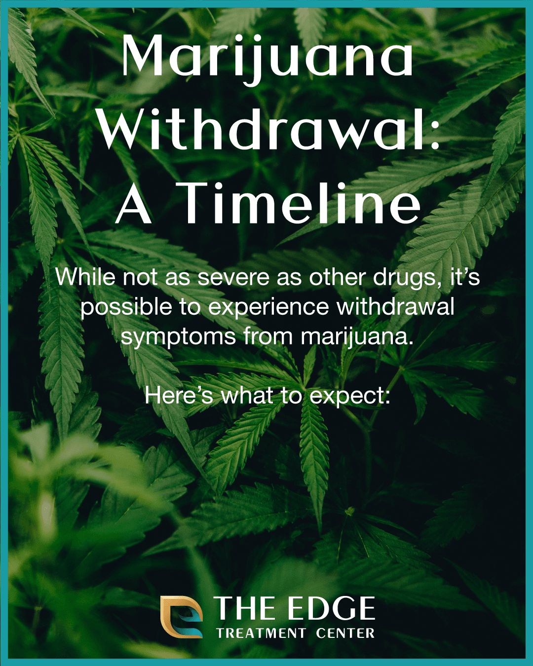 Marijuana Withdrawal Timeline