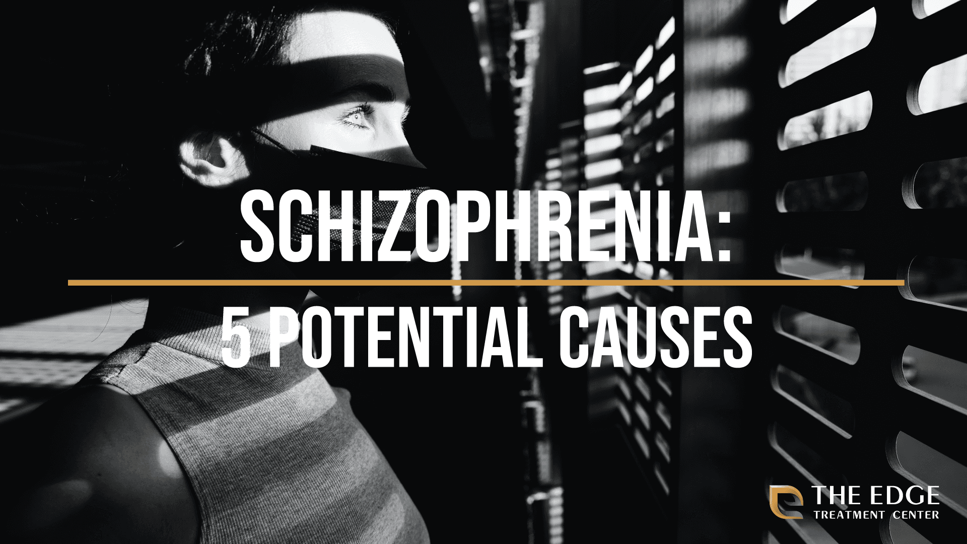 Schizophrenia: 5 Possible Sources of this Devastating Mental Disorder