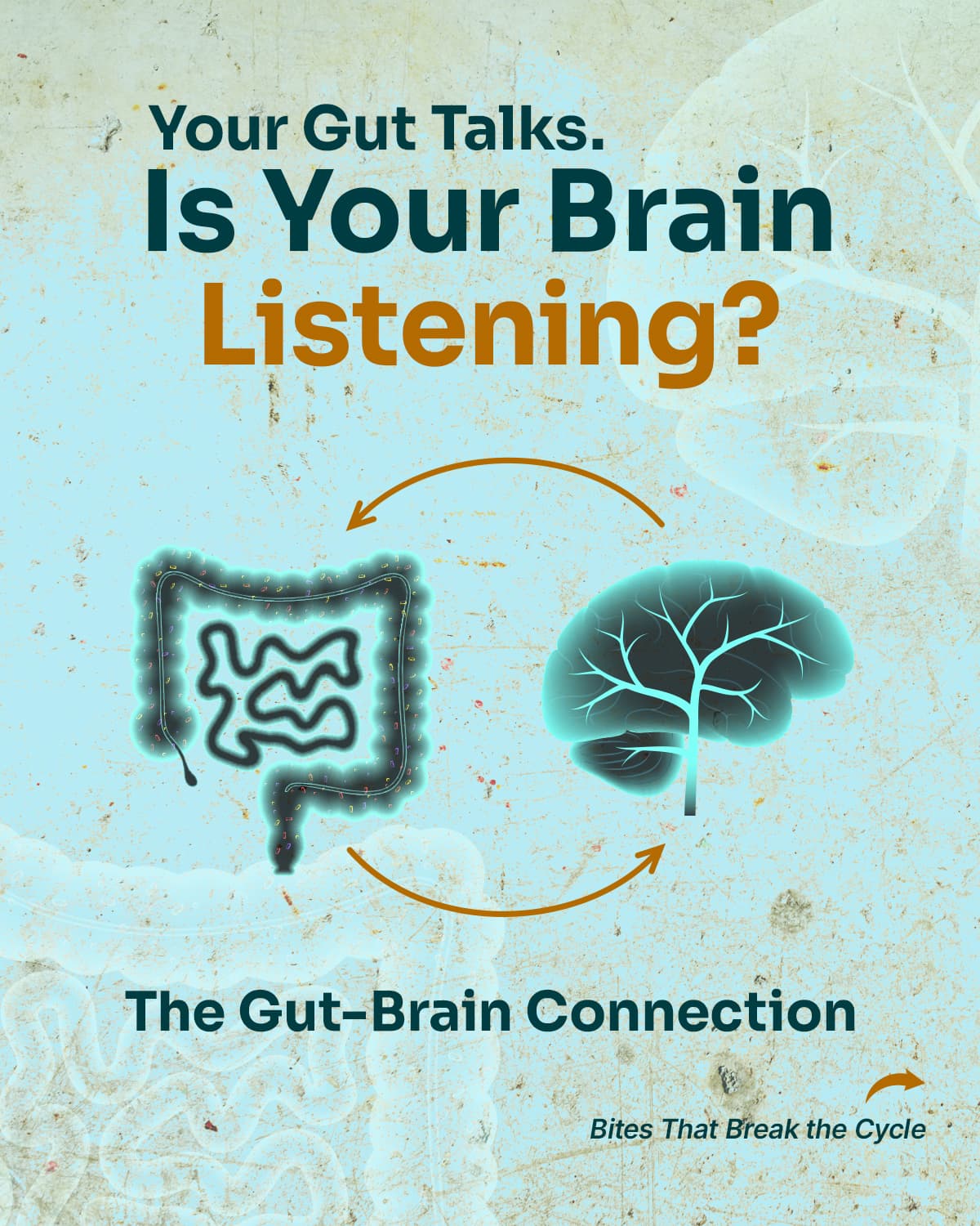 The Gut-Brain Connection