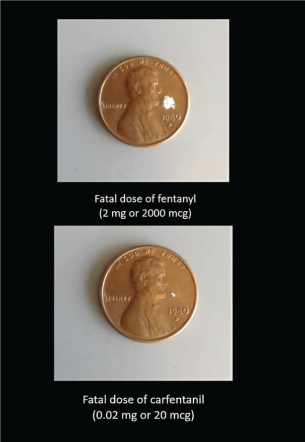 The 5 Most Dangerous Drugs the-5-most-dangerous-drugs